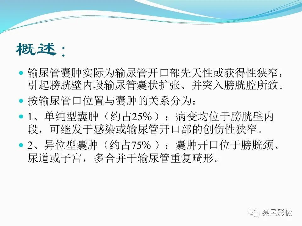 影像PPT - 【PPT】一例输尿管囊肿病例分享-15