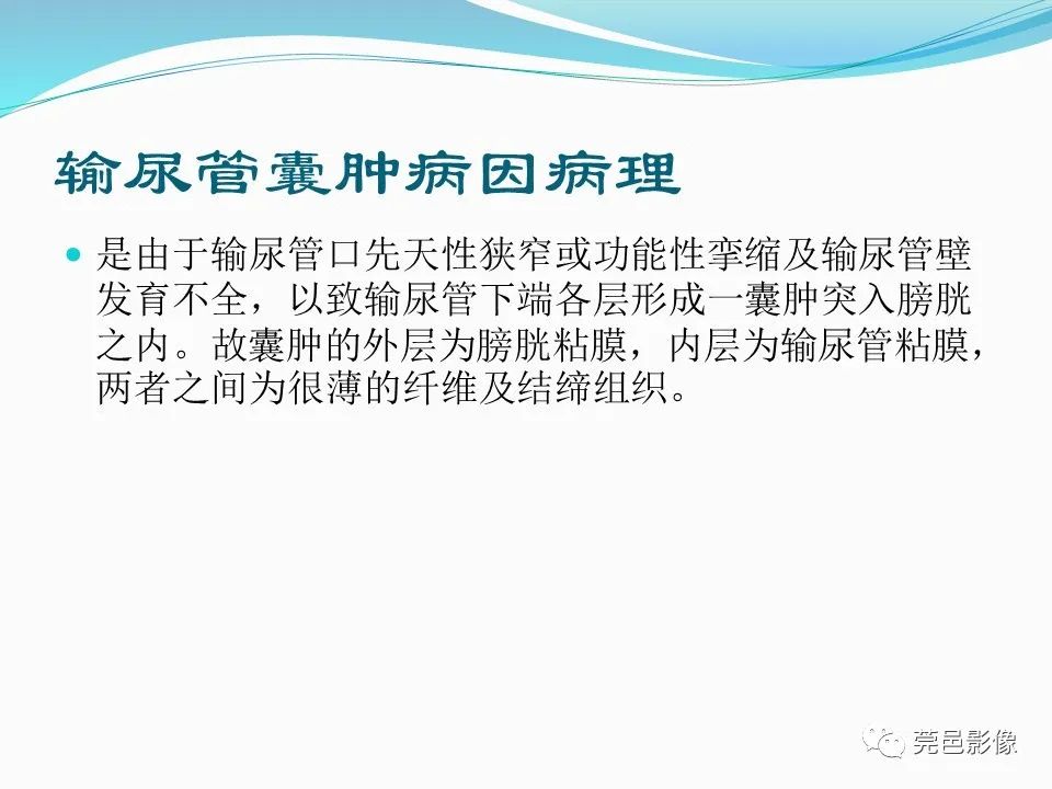 影像PPT - 【PPT】一例输尿管囊肿病例分享-16
