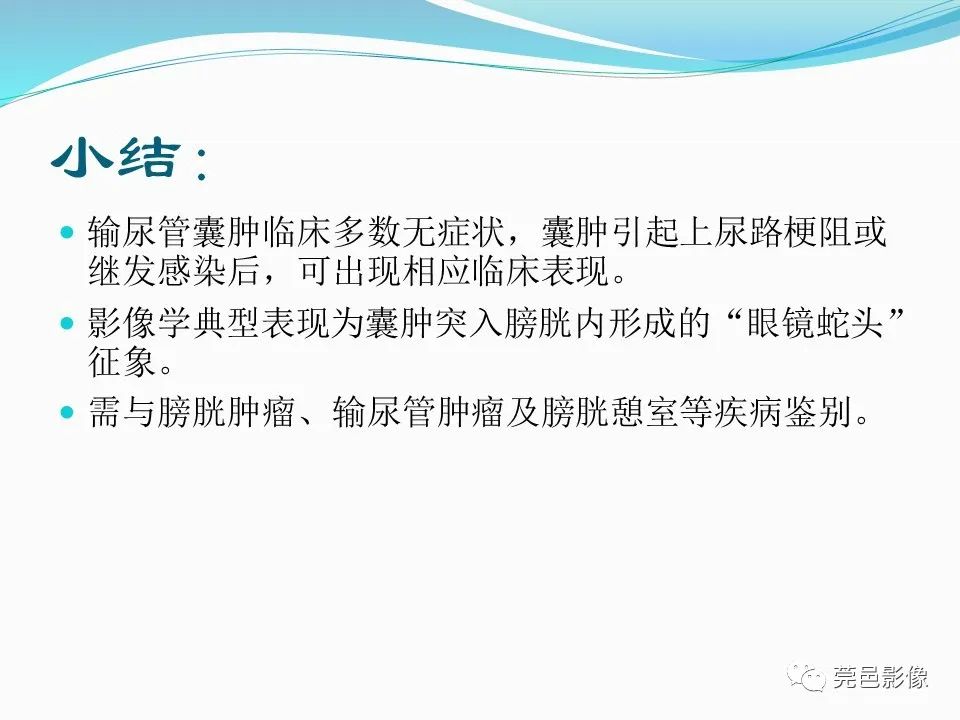 影像PPT - 【PPT】一例输尿管囊肿病例分享-28