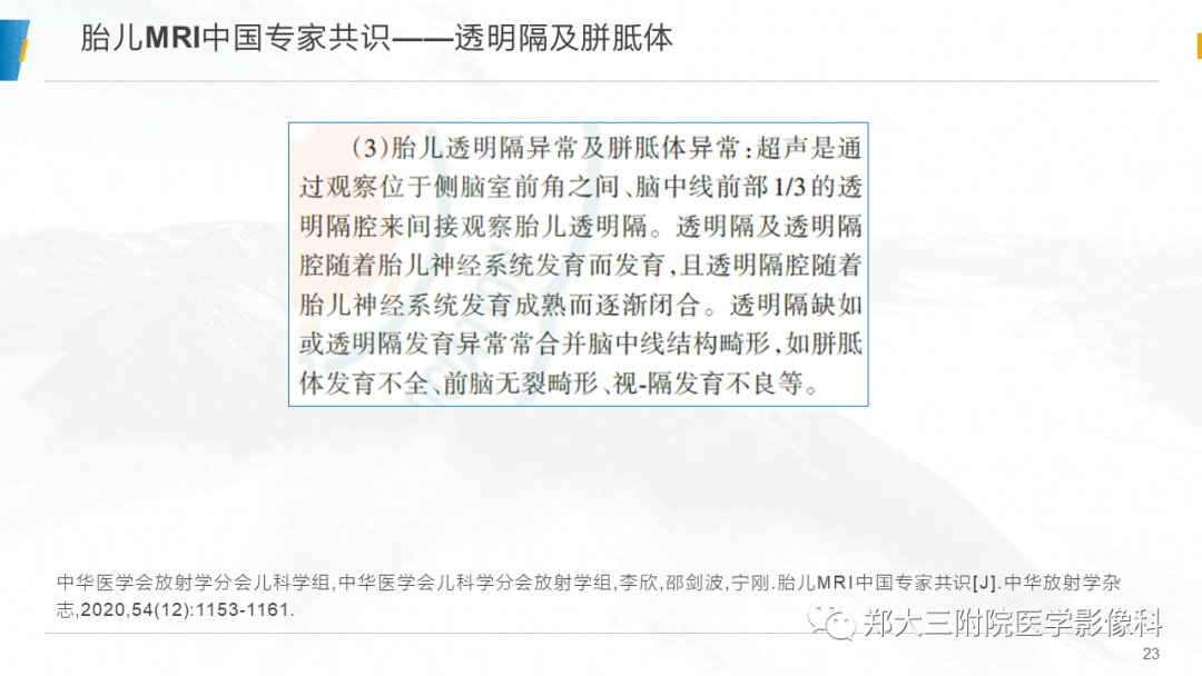 影像PPT - 【PPT】胎儿MRI颅脑径线测量标准-23