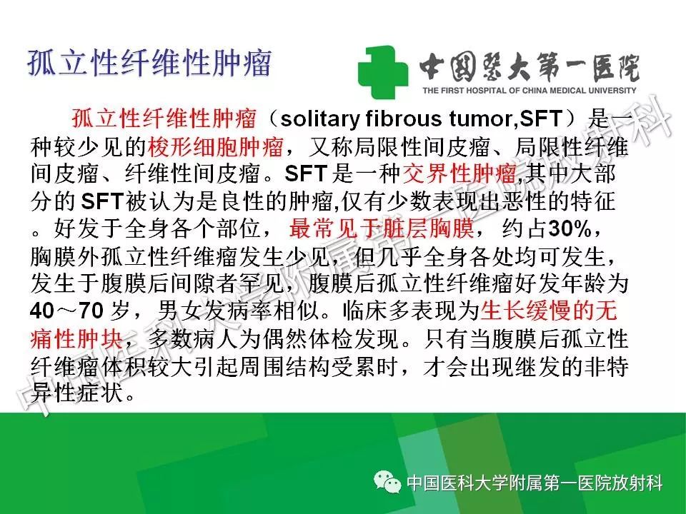 影像PPT - 【PPT】腹膜后孤立性纤维性肿瘤-13