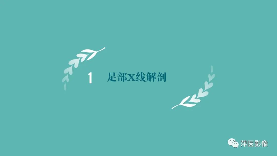 影像PPT - 【PPT】足部X线易混淆结构及相关病变-3