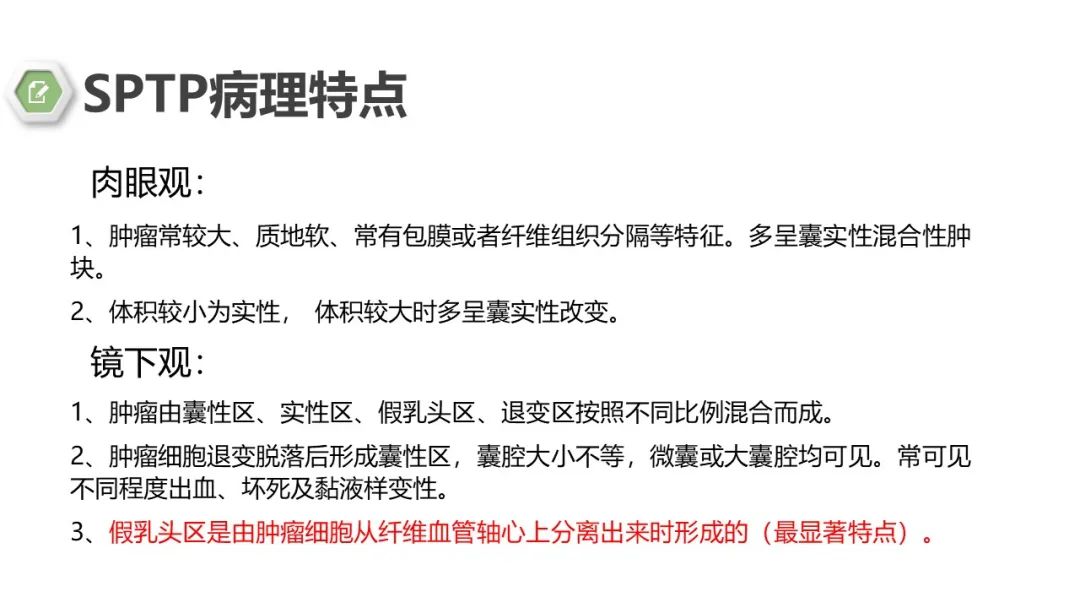 影像PPT - 【病例】胰腺实性假乳头状瘤1例CT影像-16