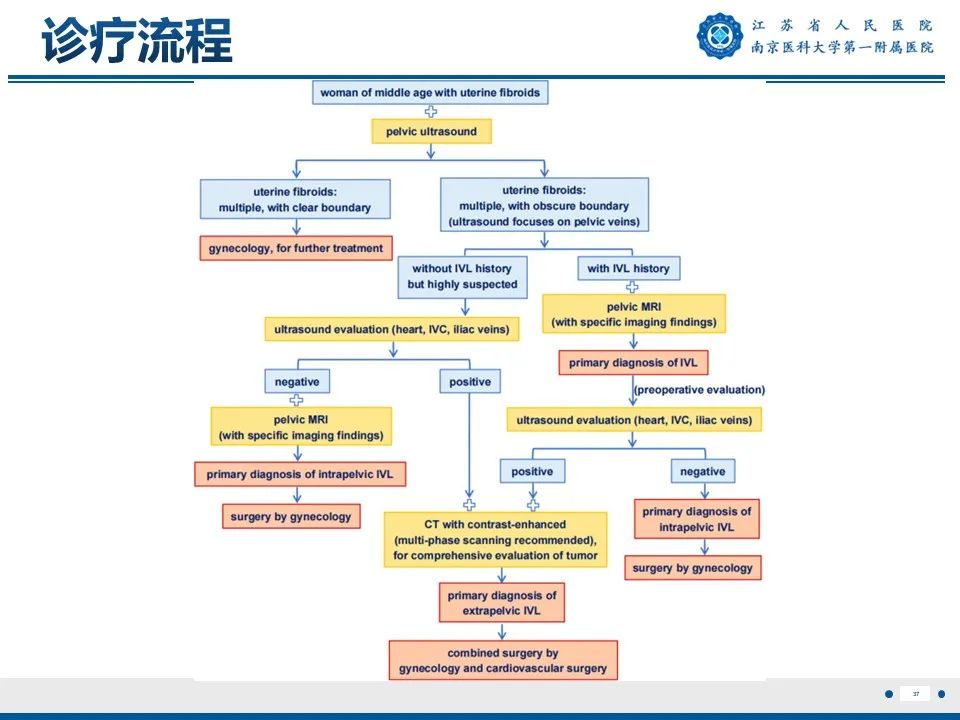 影像PPT - 【PPT】静脉内的“爬山虎”——静脉内平滑肌瘤病-38