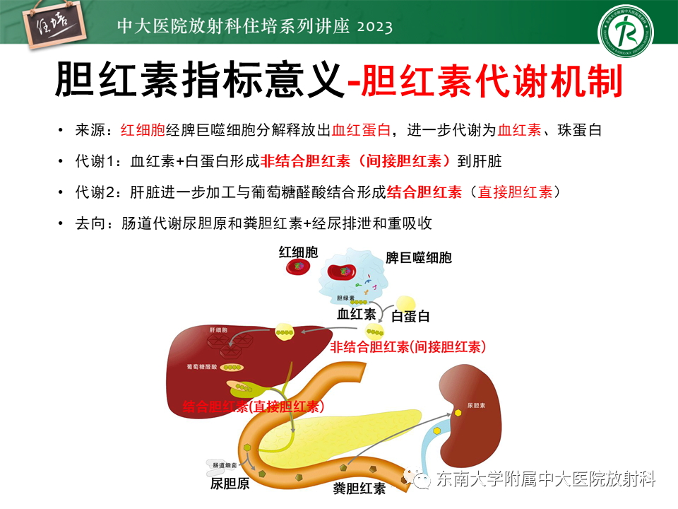 影像PPT - 【PPT】继发性肝内胆管局部扩张影像诊断-3