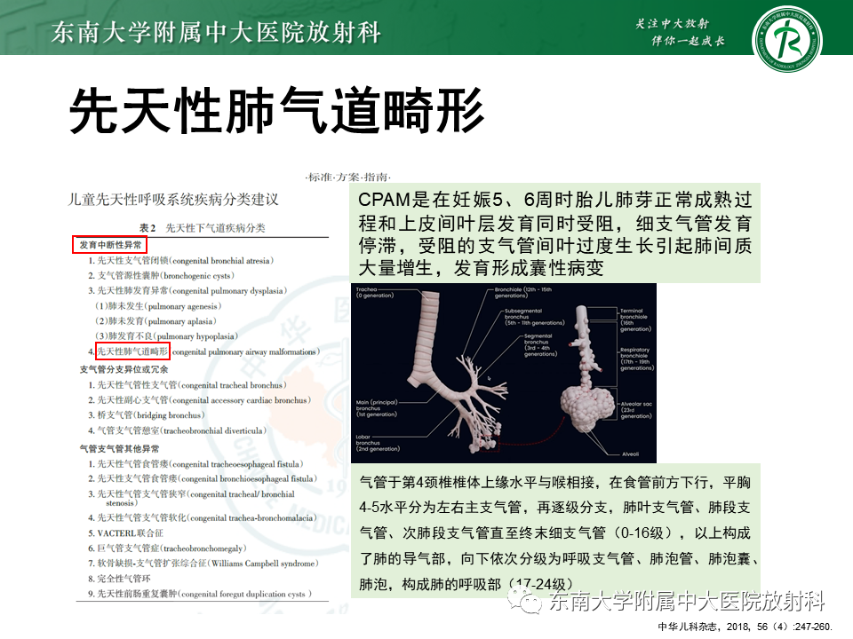 影像PPT - 【PPT】先天性肺气道畸形（CPAM）-6