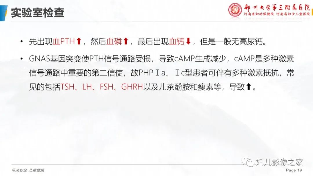 影像PPT - 【PPT】假性甲状旁腺功能减退症-19
