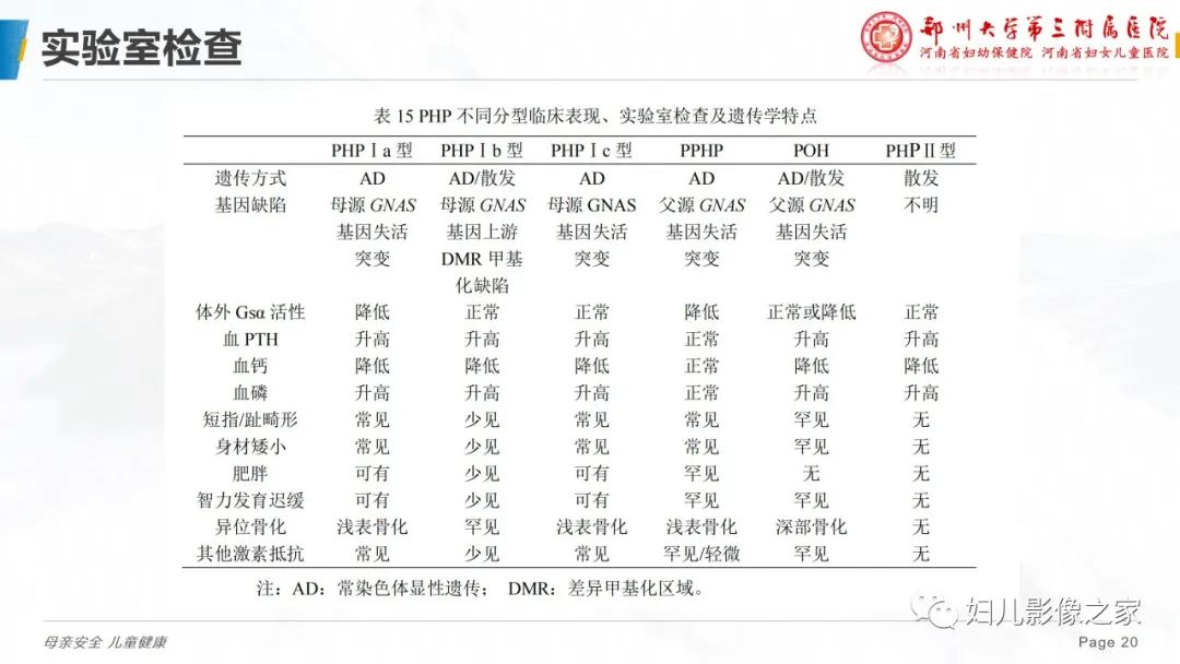 影像PPT - 【PPT】假性甲状旁腺功能减退症-20