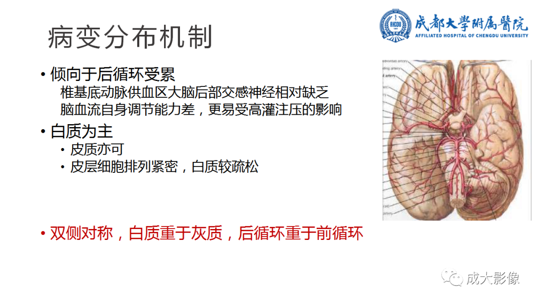 影像PPT - 【PPT】可逆性后部脑病综合征-8