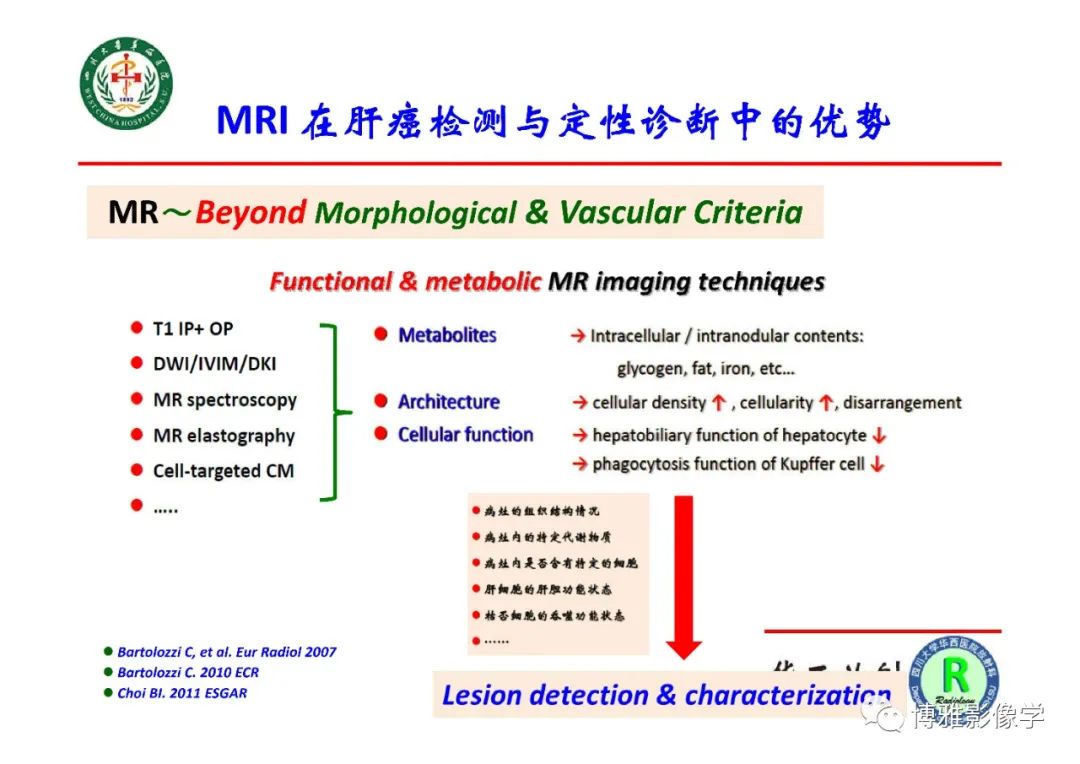 影像PPT - 【PPT】肝硬化结节多步癌变的影像学评价-12