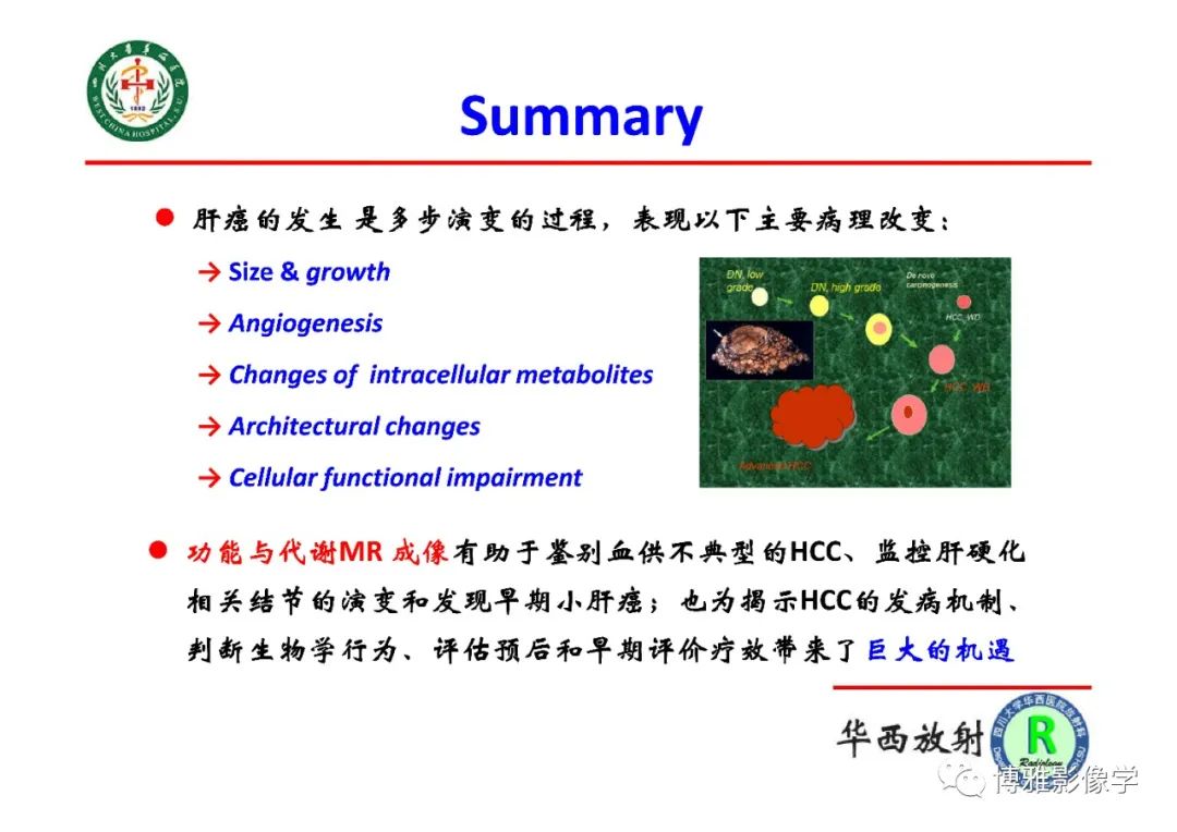 影像PPT - 【PPT】肝硬化结节多步癌变的影像学评价-36