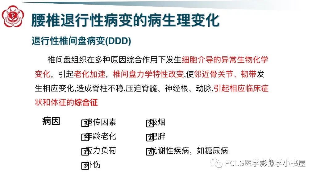 影像PPT - 【PPT】腰椎退行性病变影像读片思路-2