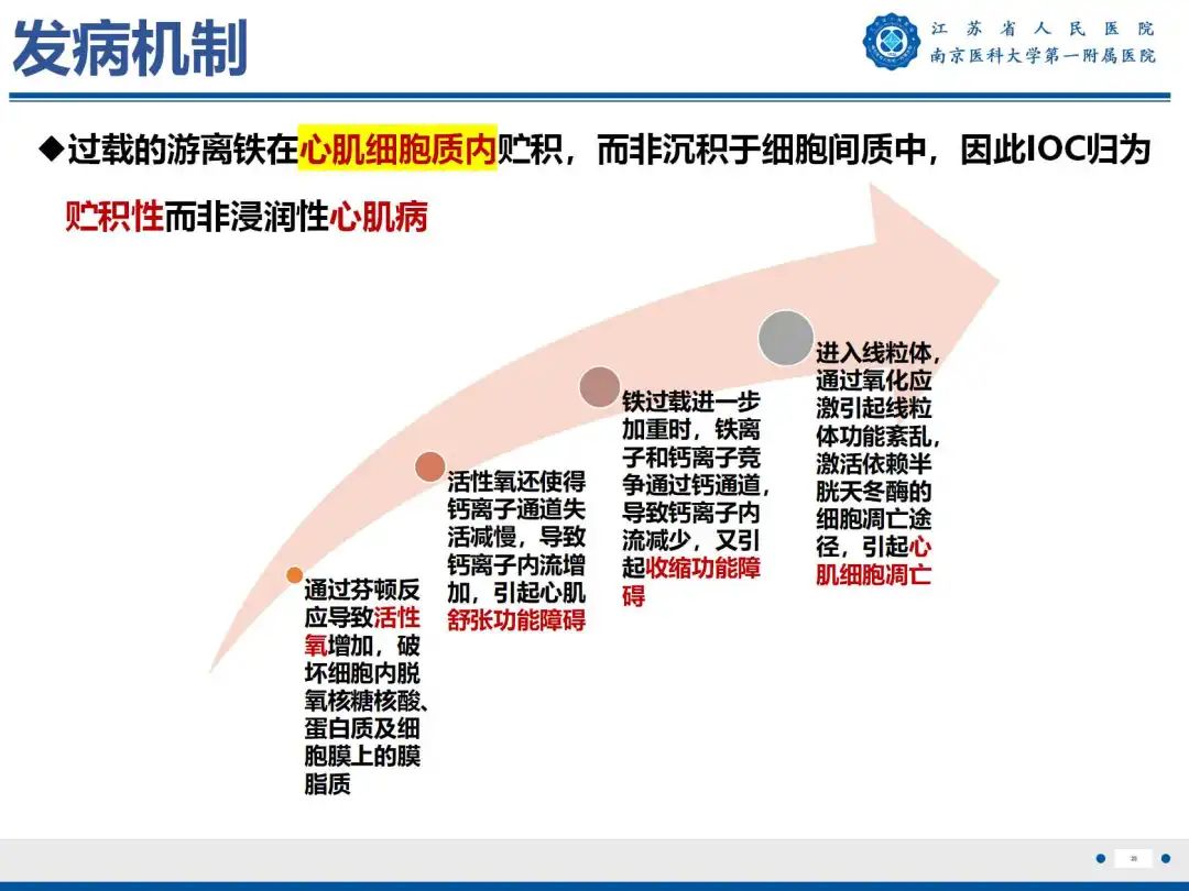 影像PPT - 【PPT】铁过载心肌病-26