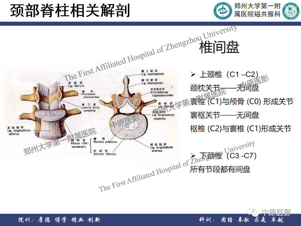 影像PPT - 【PPT】磁共振在颈椎病中的应用-4