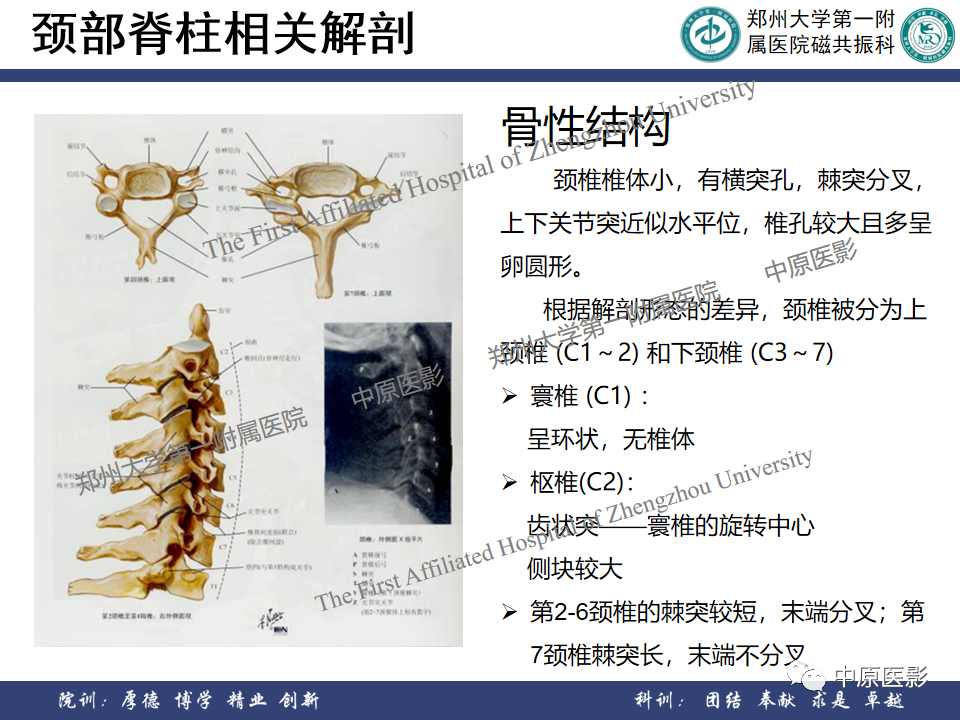 影像PPT - 【PPT】磁共振在颈椎病中的应用-3