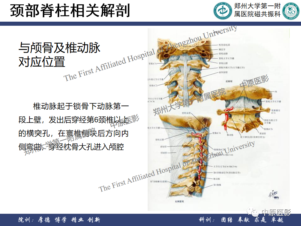 影像PPT - 【PPT】磁共振在颈椎病中的应用-6