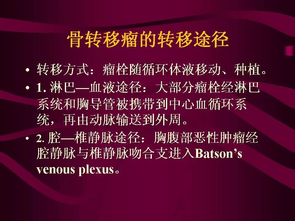 影像PPT - 【PPT】骨转移瘤的影像诊断-4