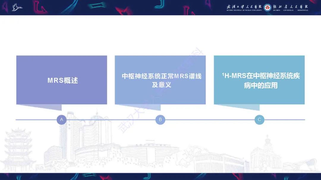 影像PPT - 【PPT】1H-MRS在中枢神经系统疾病中的应用-2