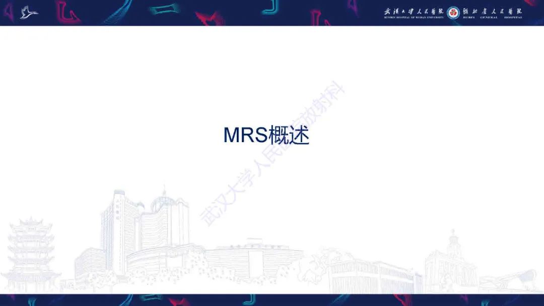 影像PPT - 【PPT】1H-MRS在中枢神经系统疾病中的应用-3