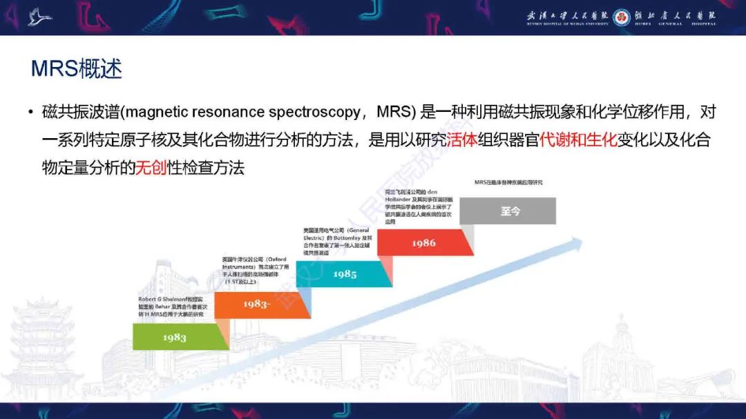 影像PPT - 【PPT】1H-MRS在中枢神经系统疾病中的应用-4