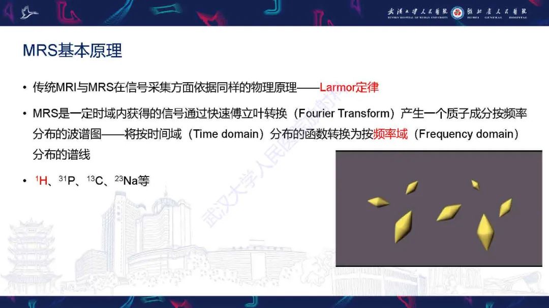 影像PPT - 【PPT】1H-MRS在中枢神经系统疾病中的应用-5