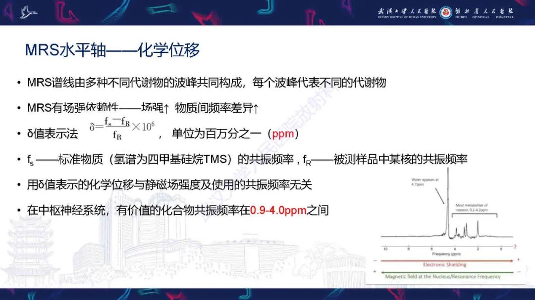 影像PPT - 【PPT】1H-MRS在中枢神经系统疾病中的应用-7
