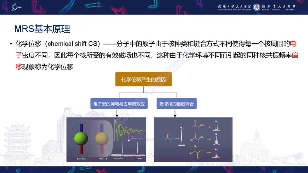 影像PPT - 【PPT】1H-MRS在中枢神经系统疾病中的应用-6
