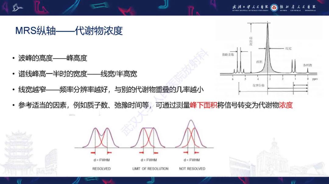 影像PPT - 【PPT】1H-MRS在中枢神经系统疾病中的应用-8
