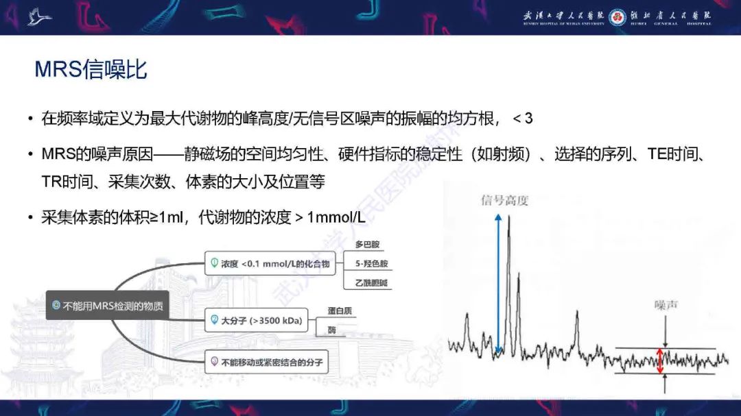 影像PPT - 【PPT】1H-MRS在中枢神经系统疾病中的应用-9