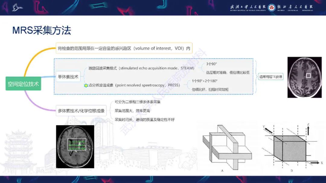 影像PPT - 【PPT】1H-MRS在中枢神经系统疾病中的应用-10