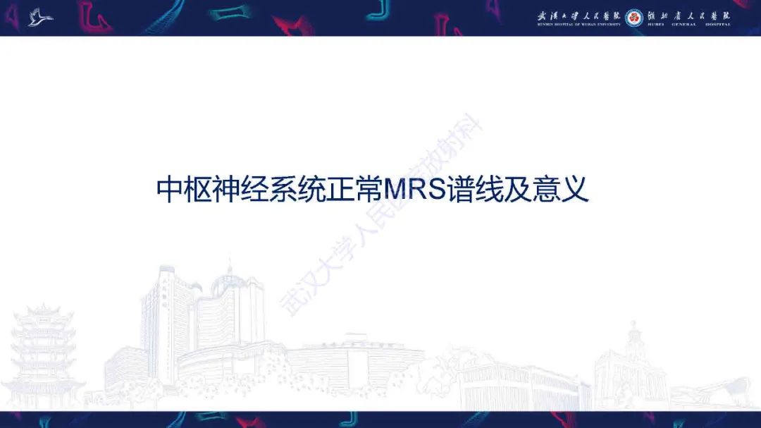 影像PPT - 【PPT】1H-MRS在中枢神经系统疾病中的应用-14