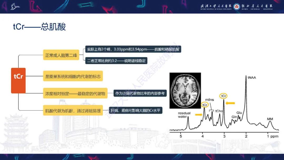 影像PPT - 【PPT】1H-MRS在中枢神经系统疾病中的应用-17