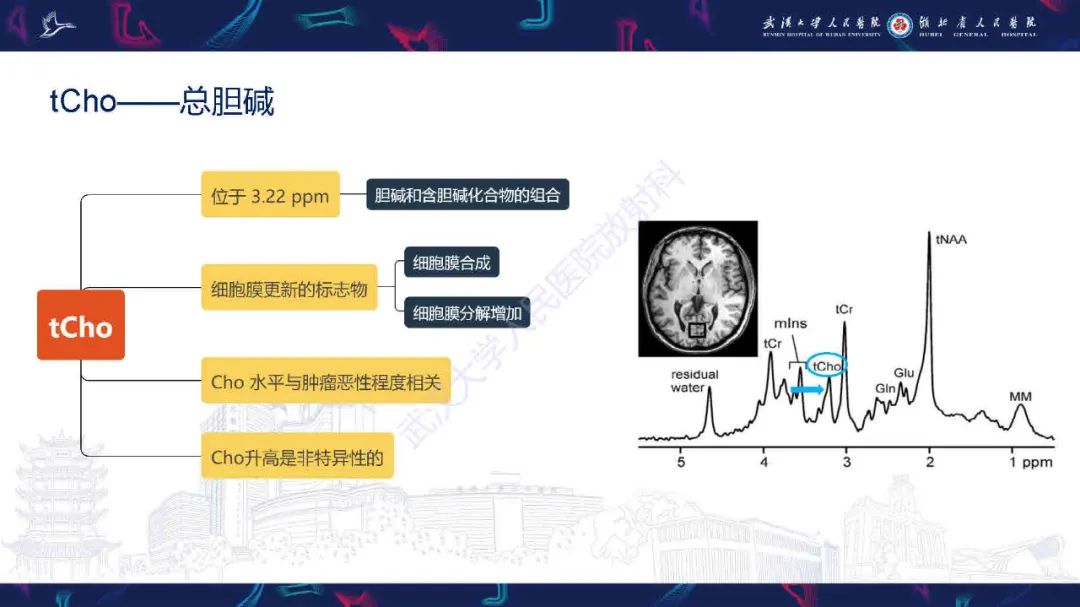 影像PPT - 【PPT】1H-MRS在中枢神经系统疾病中的应用-18