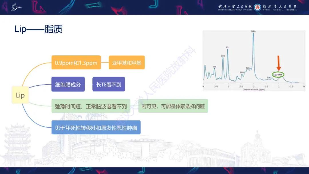 影像PPT - 【PPT】1H-MRS在中枢神经系统疾病中的应用-20