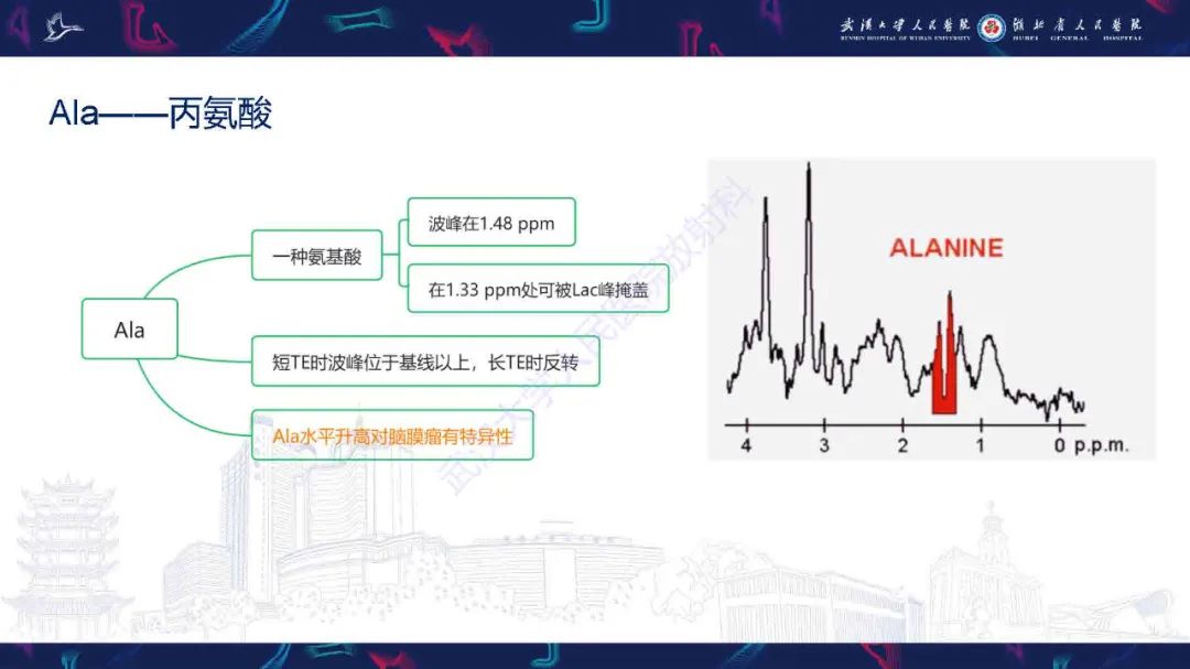 影像PPT - 【PPT】1H-MRS在中枢神经系统疾病中的应用-22