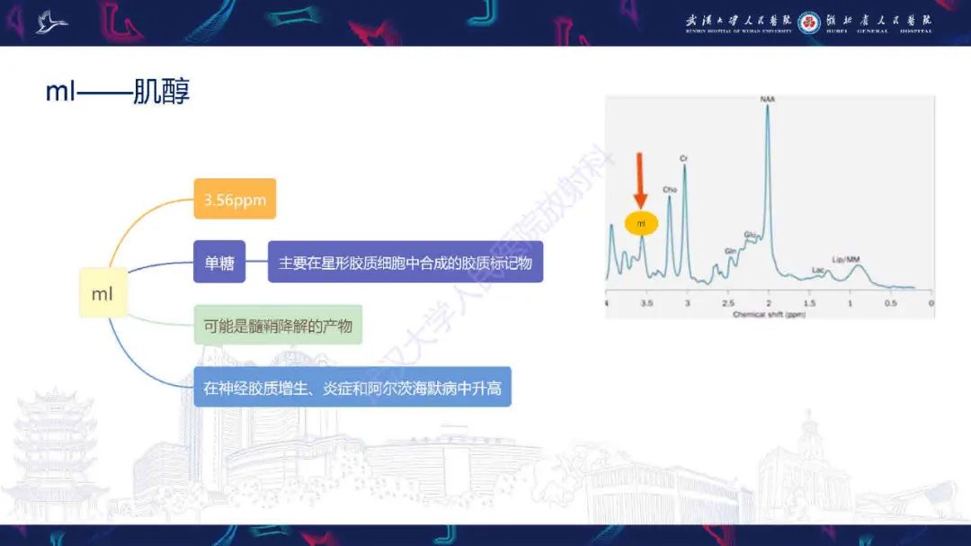 影像PPT - 【PPT】1H-MRS在中枢神经系统疾病中的应用-21