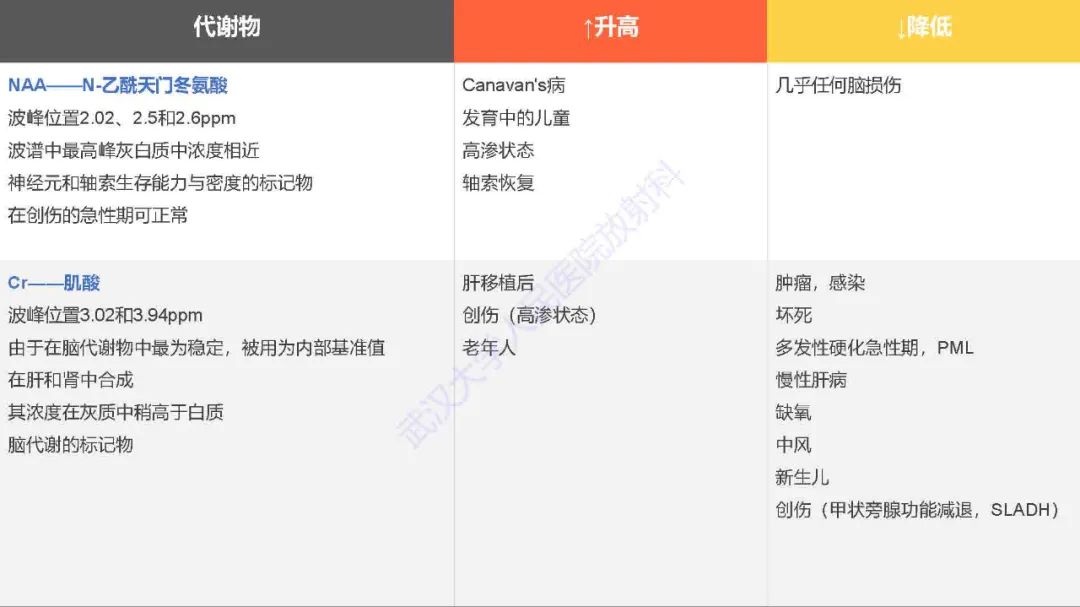 影像PPT - 【PPT】1H-MRS在中枢神经系统疾病中的应用-24