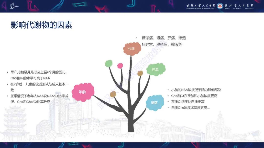 影像PPT - 【PPT】1H-MRS在中枢神经系统疾病中的应用-28