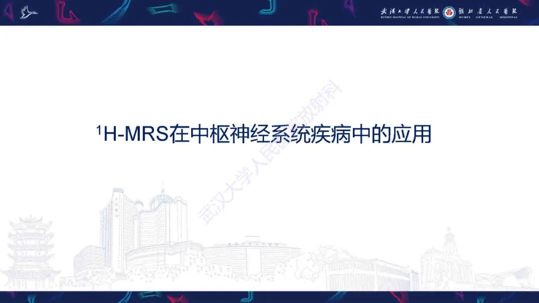 影像PPT - 【PPT】1H-MRS在中枢神经系统疾病中的应用-29