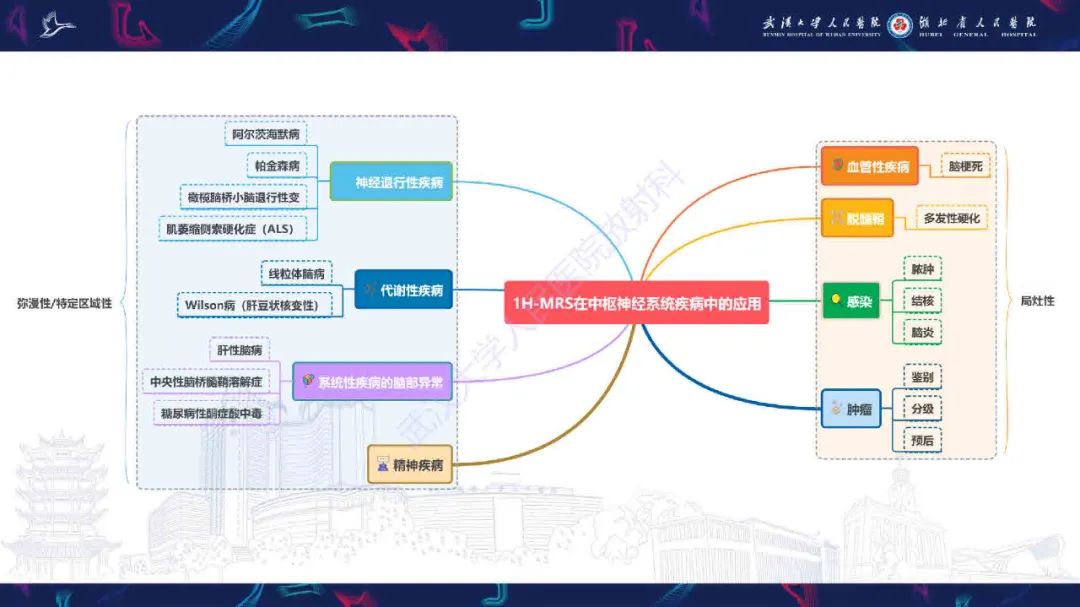 影像PPT - 【PPT】1H-MRS在中枢神经系统疾病中的应用-30