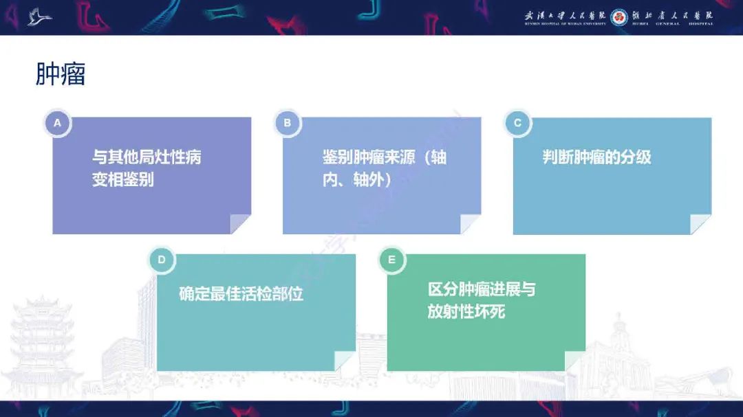 影像PPT - 【PPT】1H-MRS在中枢神经系统疾病中的应用-31