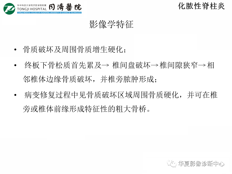 影像PPT - 【PPT】脊柱炎性病变的影像诊断思路-13