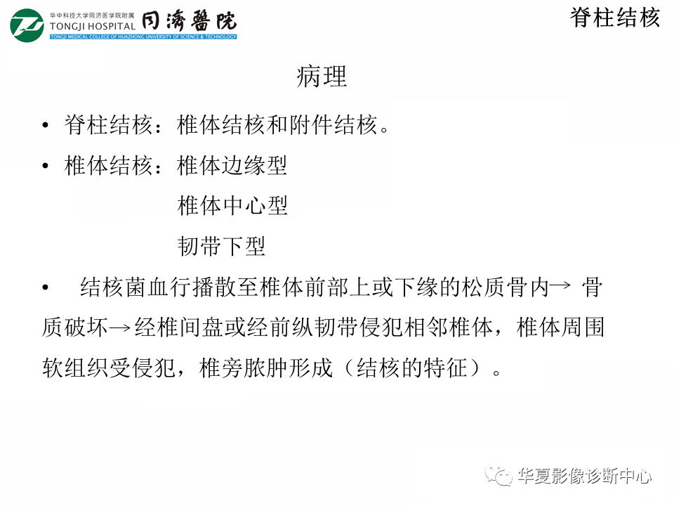 影像PPT - 【PPT】脊柱炎性病变的影像诊断思路-17