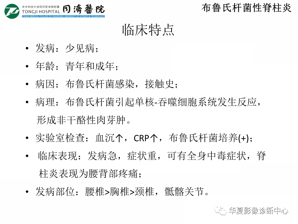 影像PPT - 【PPT】脊柱炎性病变的影像诊断思路-23