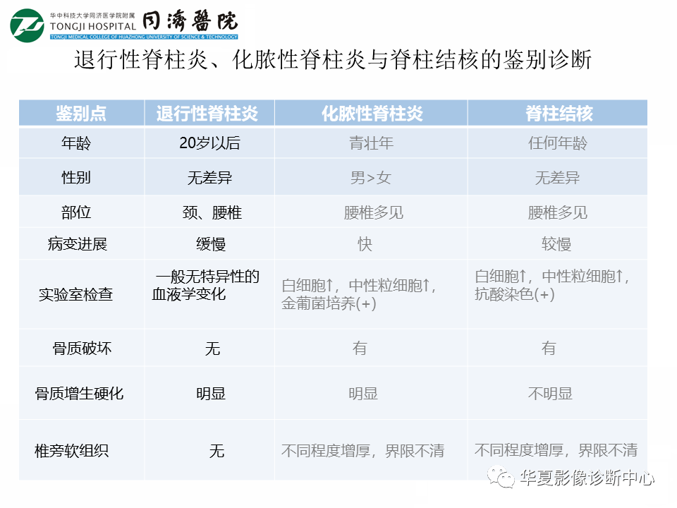 影像PPT - 【PPT】脊柱炎性病变的影像诊断思路-22