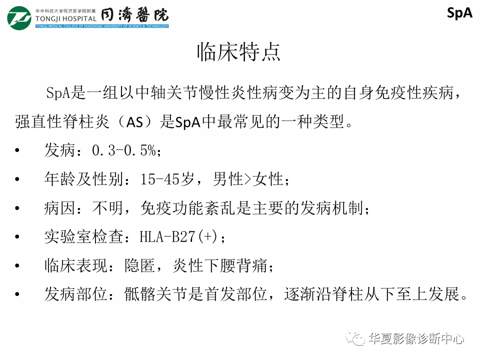 影像PPT - 【PPT】脊柱炎性病变的影像诊断思路-28