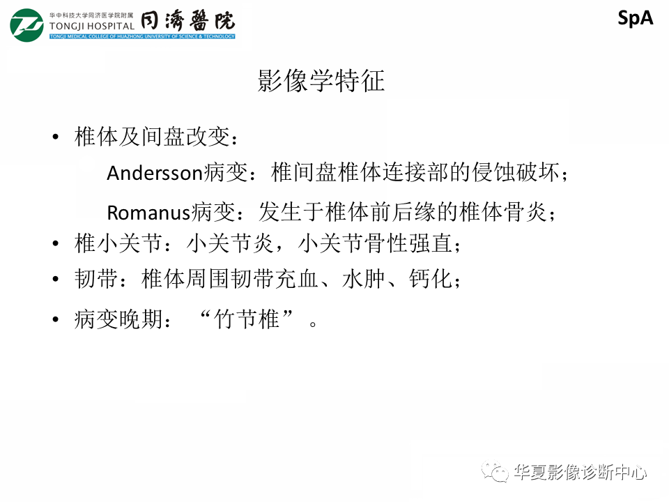 影像PPT - 【PPT】脊柱炎性病变的影像诊断思路-29