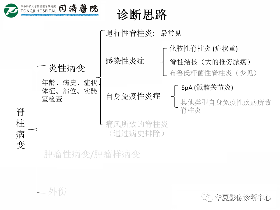 影像PPT - 【PPT】脊柱炎性病变的影像诊断思路-38