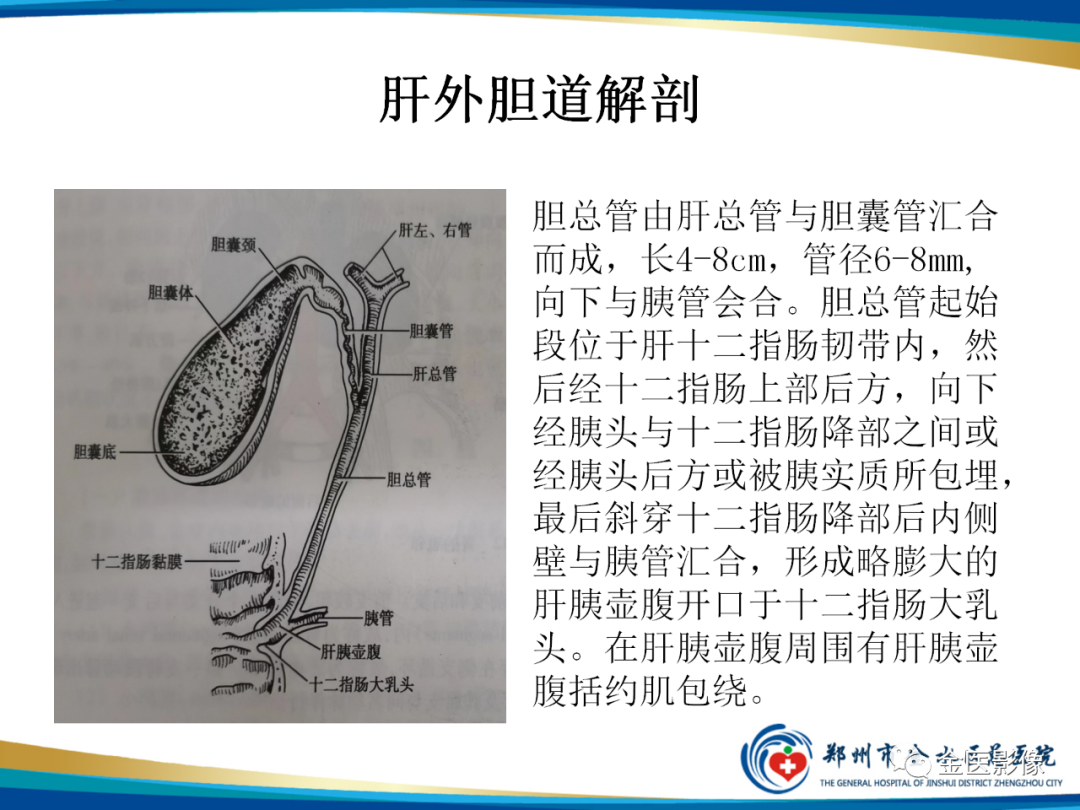 影像PPT - 【PPT】造影检查技术篇之T管造影-6