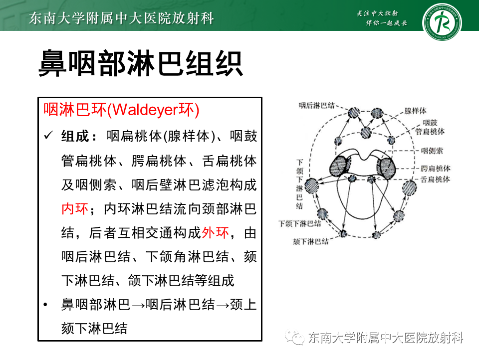影像PPT - 【PPT】鼻咽癌影像及分期-20